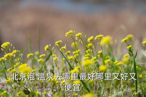  北京泡 温泉去哪里最好哪里又好又便宜