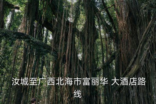  汝城至广西北海市富丽华 大酒店路线