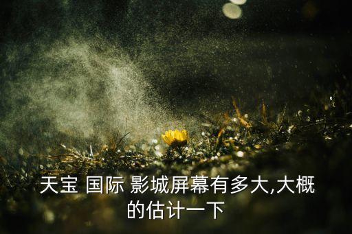  天宝 国际 影城屏幕有多大,大概的估计一下