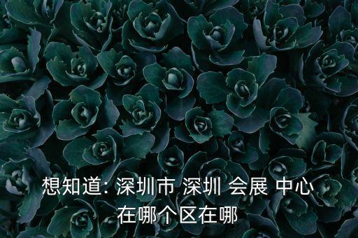 想知道: 深圳市 深圳 会展 中心在哪个区在哪