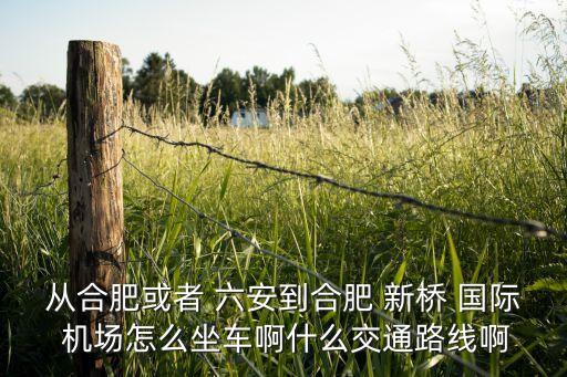 从合肥或者 六安到合肥 新桥 国际 机场怎么坐车啊什么交通路线啊