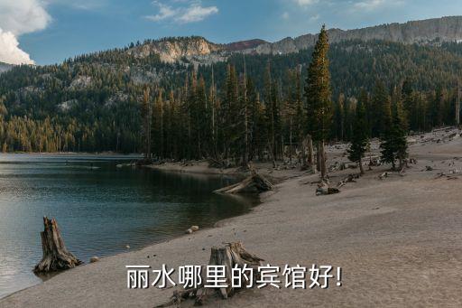 丽水飞达国际大酒店附近有好玩的吗