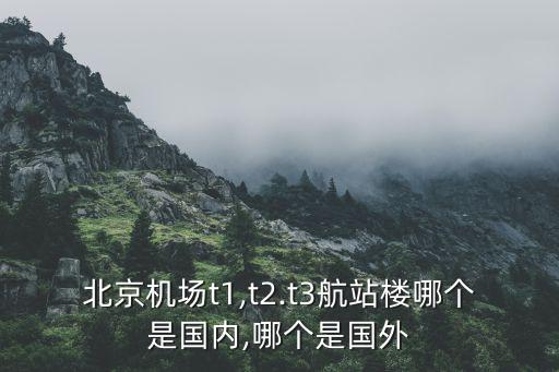北京机场t1,t2.t3航站楼哪个是国内,哪个是国外