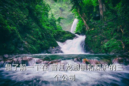 想了解一下在 晋江龙湖镇和深沪的三个公司