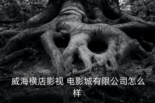  威海横店影视 电影城有限公司怎么样