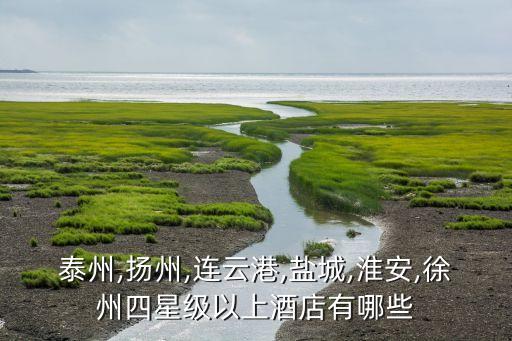 泰州,扬州,连云港,盐城,淮安,徐州四星级以上酒店有哪些