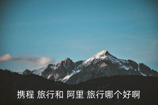 携程 旅行和 阿里 旅行哪个好啊