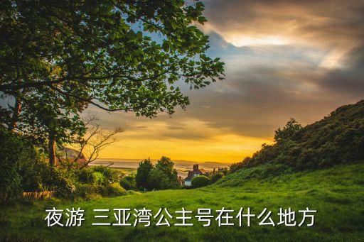 夜游 三亚湾公主号在什么地方