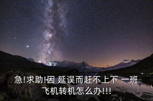 急!求助!因 延误而赶不上下 一班飞机转机怎么办!!!