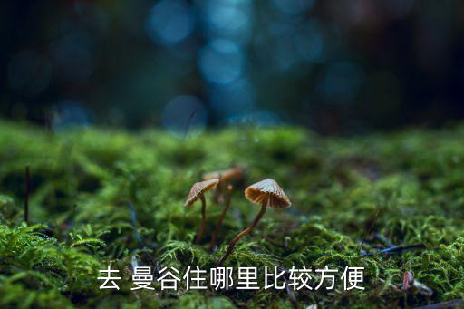 去 曼谷住哪里比较方便