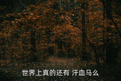 世界上真的还有 汗血马么