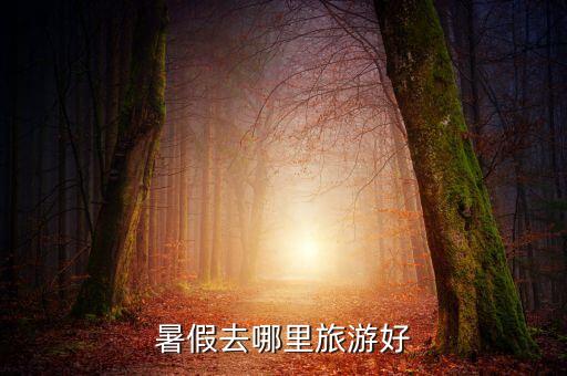 暑假去哪里旅游好