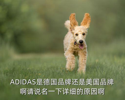 ADIDAS是德国品牌还是美国品牌啊请说名一下详细的原因啊