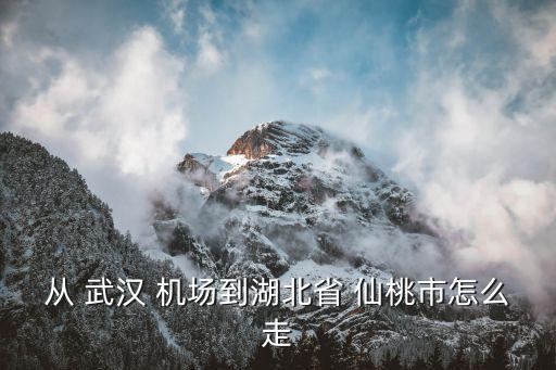 武汉天河国际机场机场到仙桃,石家庄机场到武汉天河国际机场