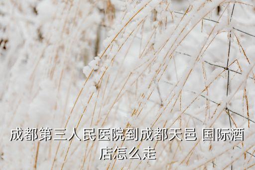 成都第三人民医院到成都天邑 国际酒店怎么走