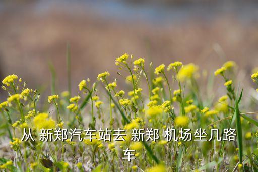 从 新郑汽车站去 新郑 机场坐几路车