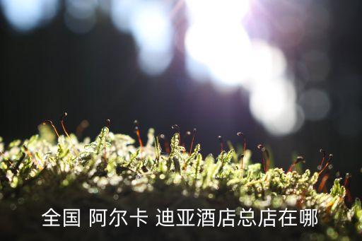 全国 阿尔卡 迪亚酒店总店在哪