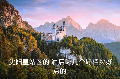  沈阳皇姑区的 酒店哪几个好档次好点的