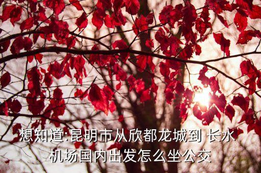 想知道:昆明市从欣都龙城到 长水 机场国内出发怎么坐公交