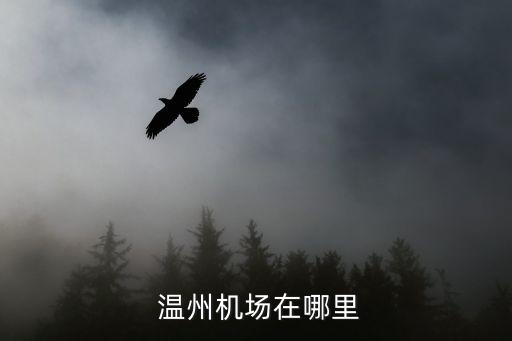 温州国际机