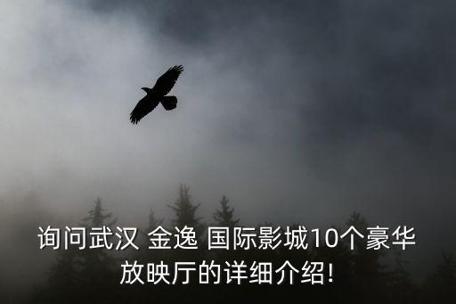 询问武汉 金逸 国际影城10个豪华放映厅的详细介绍!