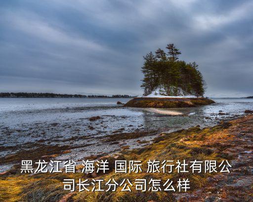 黑龙江省 海洋 国际 旅行社有限公司长江分公司怎么样