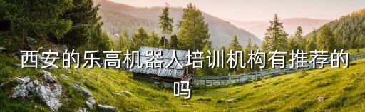  西安的乐高机器人培训机构有推荐的吗
