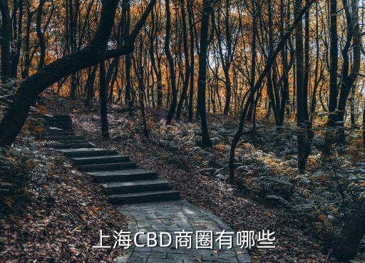  上海CBD商圈有哪些