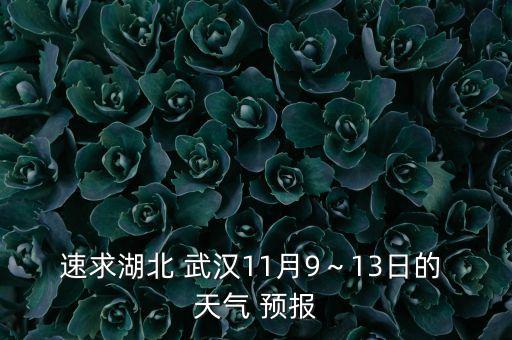 速求湖北 武汉11月9～13日的 天气 预报