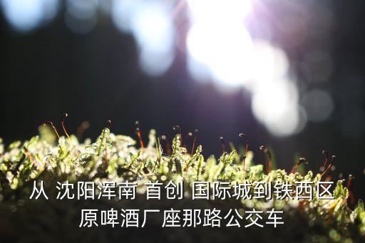 从 沈阳浑南 首创 国际城到铁西区原啤酒厂座那路公交车