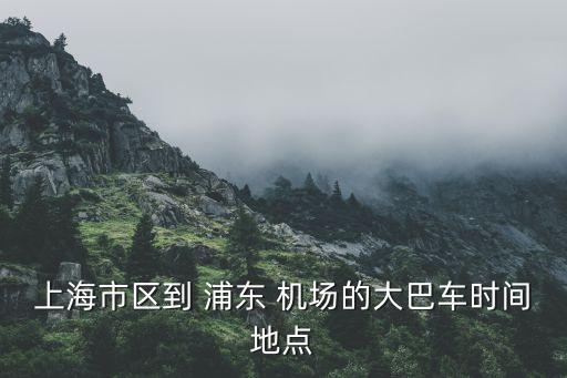 浦东国际机场乘什么车,到浦东国际机场送人,车停哪