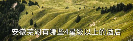 安徽芜湖有哪些4星级以上的酒店