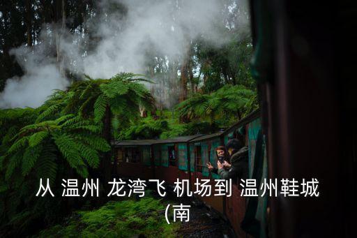 温州龙湾国际机场国际到达