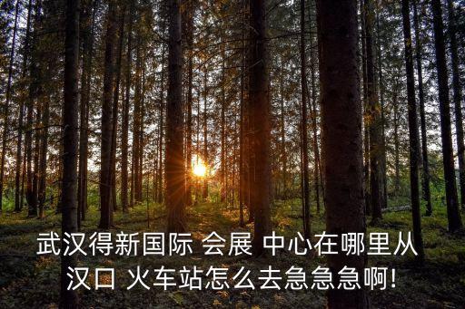 汉口火车站到国际会展中心怎么坐车