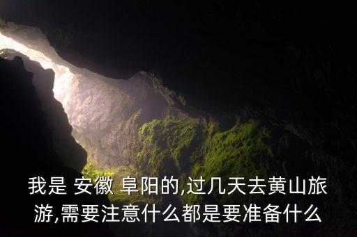徽泰国际酒店 安徽阜阳,阜阳栢景国际酒店开业时间