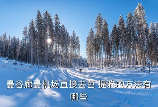 曼谷廊曼机场直接去芭 提雅的方法有哪些