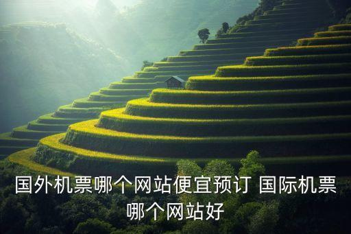 国外机票哪个网站便宜预订 国际机票哪个网站好
