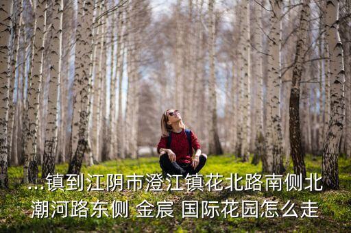 大连机场到金宸国际大厦,大连金宸国际大厦属于哪个社区
