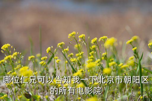 哪位仁兄可以告知我一下北京市朝阳区的所有电影院