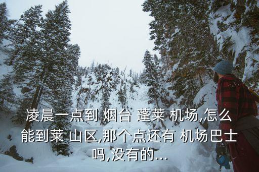 凌晨一点到 烟台 蓬莱 机场,怎么能到莱 山区,那个点还有 机场巴士吗,没有的...