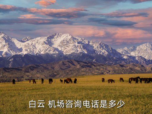  白云 机场咨询电话是多少