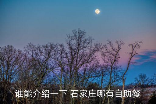 谁能介绍一下 石家庄哪有自助餐