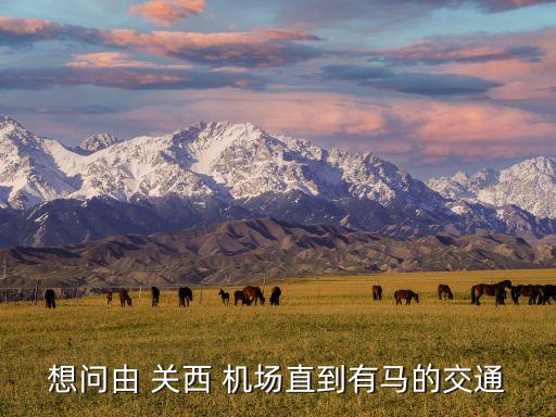 想问由 关西 机场直到有马的交通