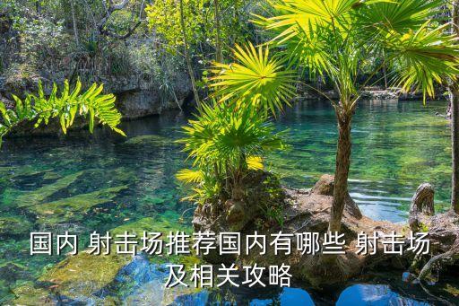 为什么北京国际射击场的费用很贵