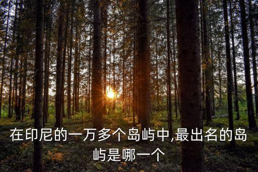 巴厘岛伍拉赖国际机场周围海鲜