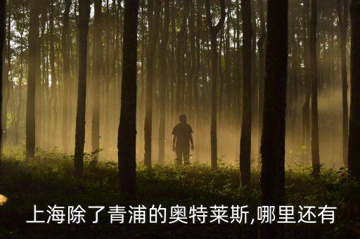 上海飞洲国际广场面积,飞洲国际广场有哪些品牌