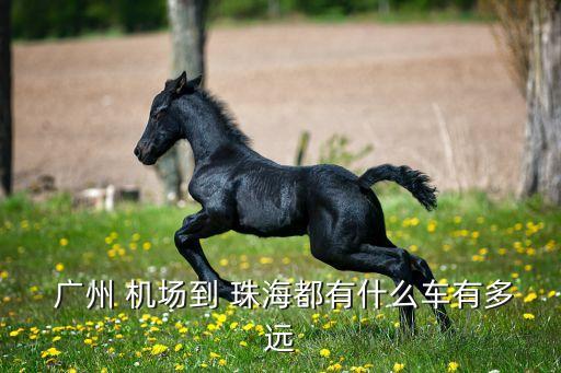  广州 机场到 珠海都有什么车有多远
