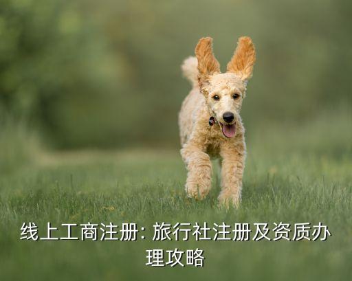 国际旅行社照片处理平台,金马国际旅行社张×茹照片