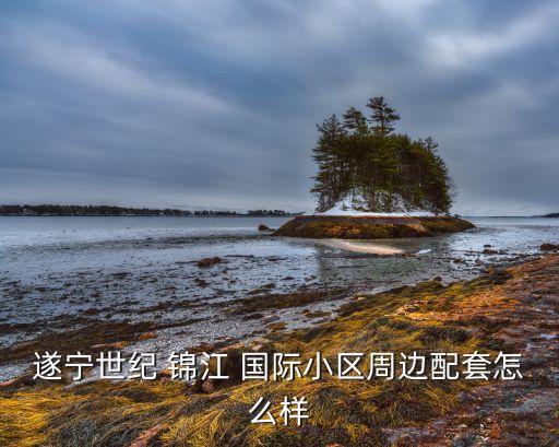 遂宁世纪 锦江 国际小区周边配套怎么样