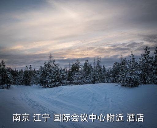 南京 江宁 国际会议中心附近 酒店